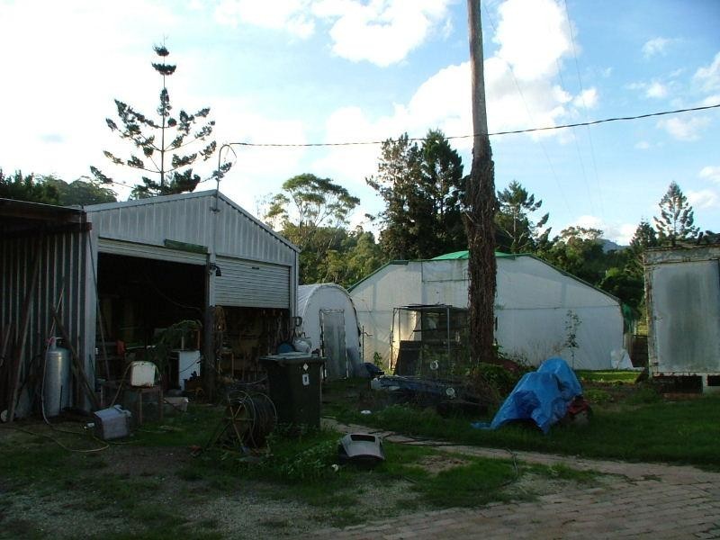 Upper Crystal Creek NSW 2484