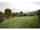 Murwillumbah NSW 2484
