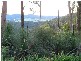 Reserve Creek NSW 2484