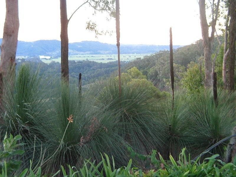 Reserve Creek NSW 2484