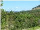 Murwillumbah NSW 2484