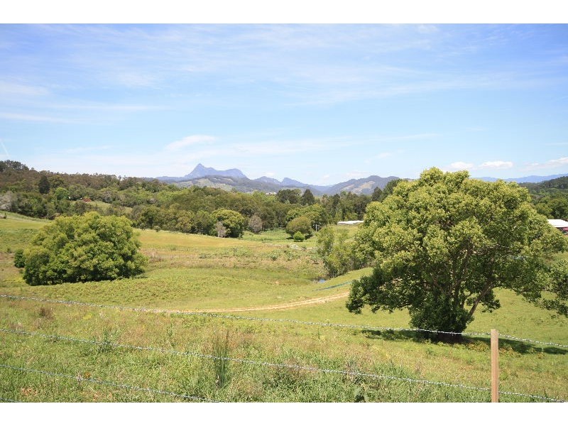 Nobbys Creek NSW 2484