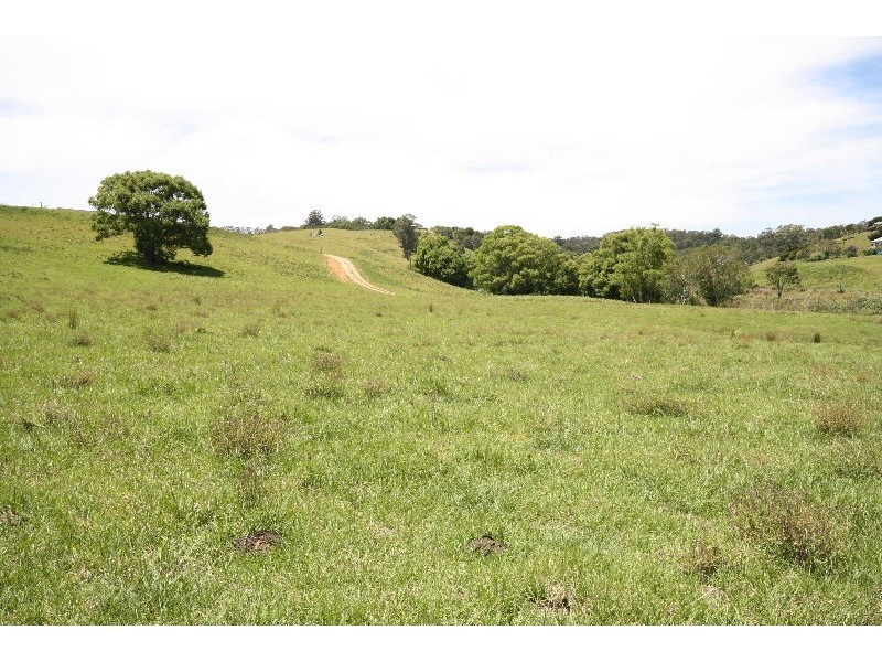 Nobbys Creek NSW 2484