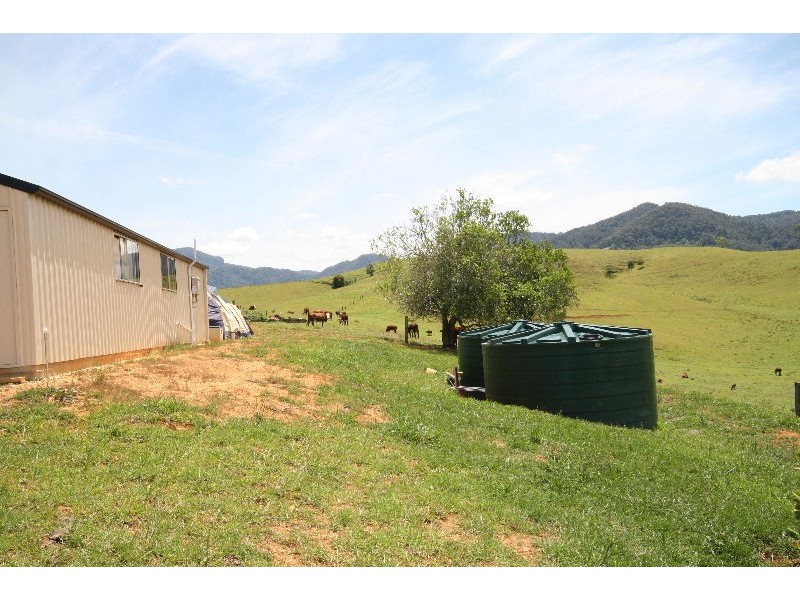 Nobbys Creek NSW 2484