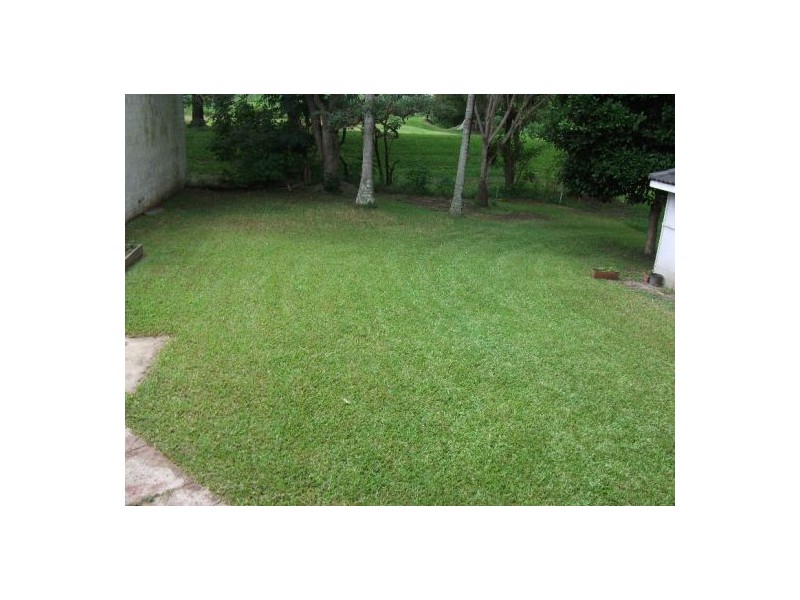 Murwillumbah NSW 2484