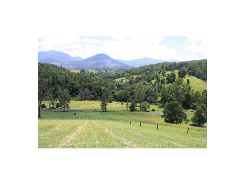 Tyalgum NSW 2484