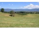 Tyalgum NSW 2484