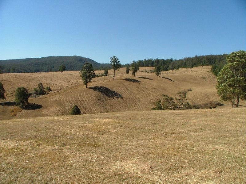 Tyalgum NSW 2484