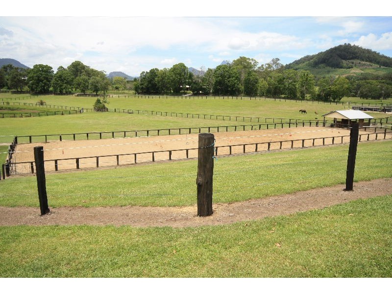 Murwillumbah NSW 2484