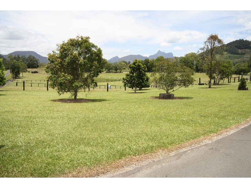 Murwillumbah NSW 2484