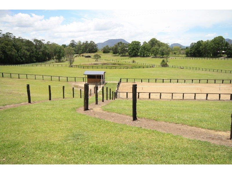 Murwillumbah NSW 2484