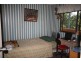 Tyalgum NSW 2484