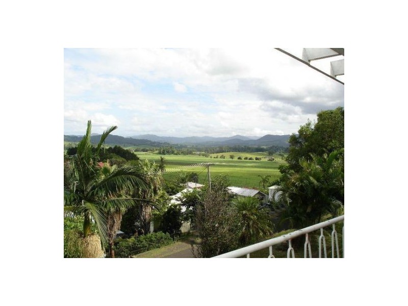 Murwillumbah NSW 2484