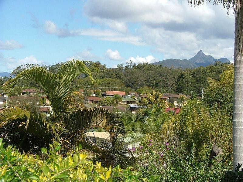 Murwillumbah NSW 2484