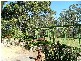 Byangum NSW 2484