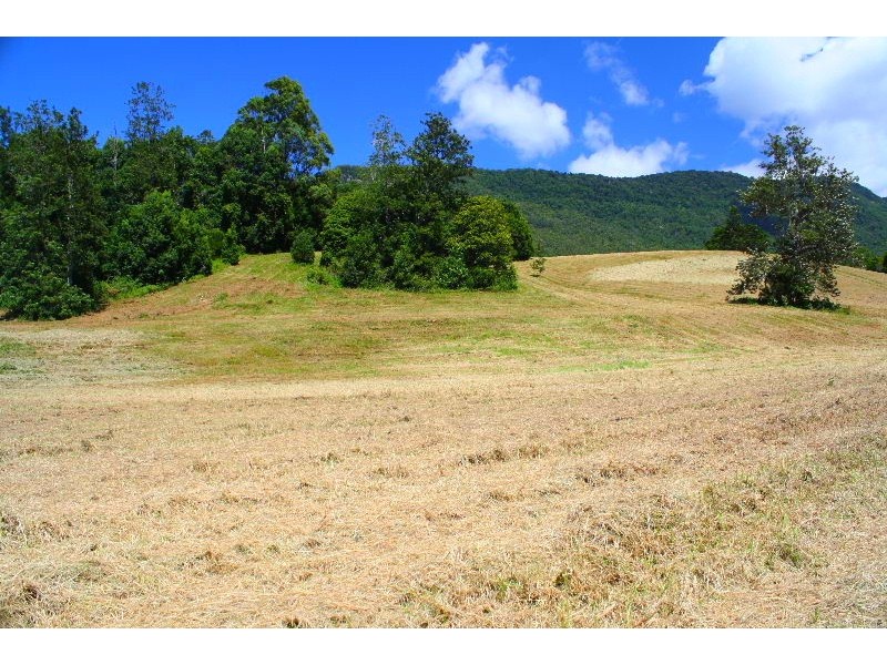 Limpinwood NSW 2484