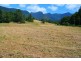 Limpinwood NSW 2484