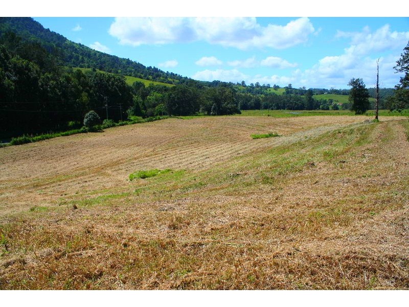 Limpinwood NSW 2484