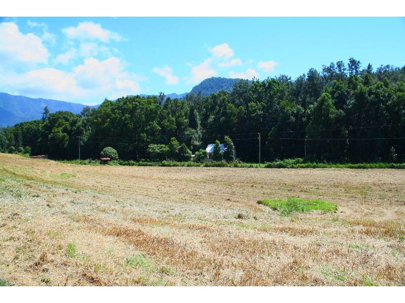 Limpinwood NSW 2484
