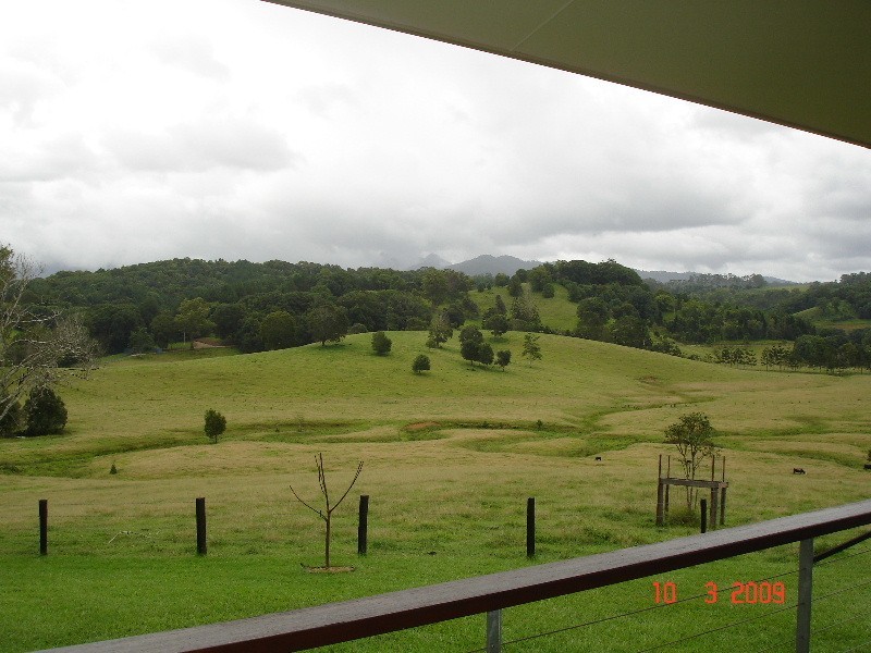 Nobbys Creek NSW 2484