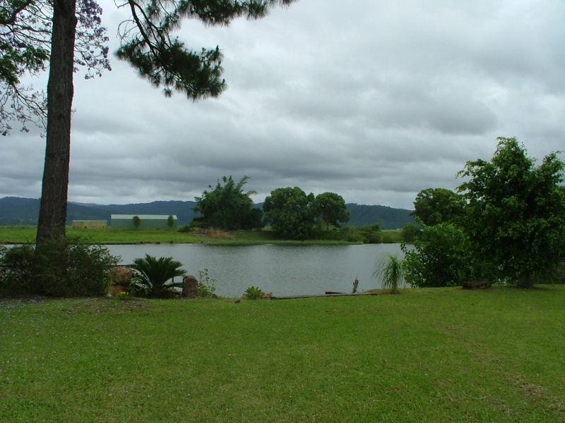 Murwillumbah NSW 2484