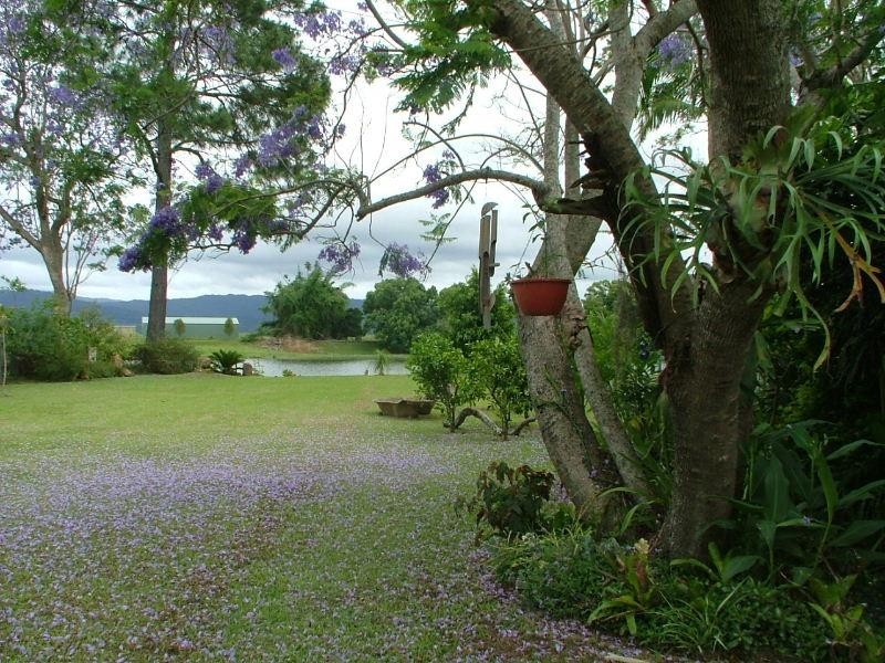 Murwillumbah NSW 2484