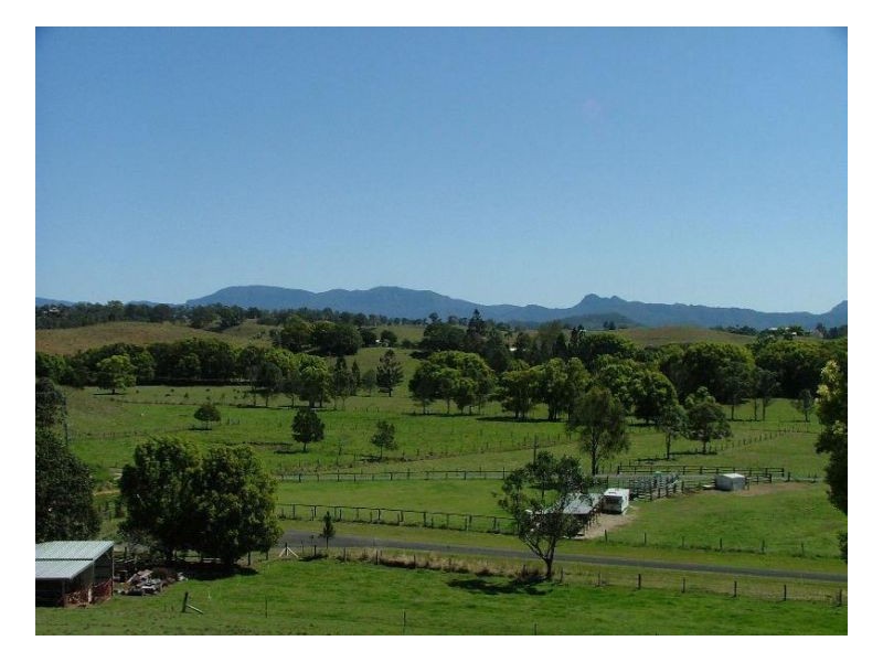 Dunbible NSW 2484