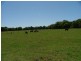 Dunbible NSW 2484