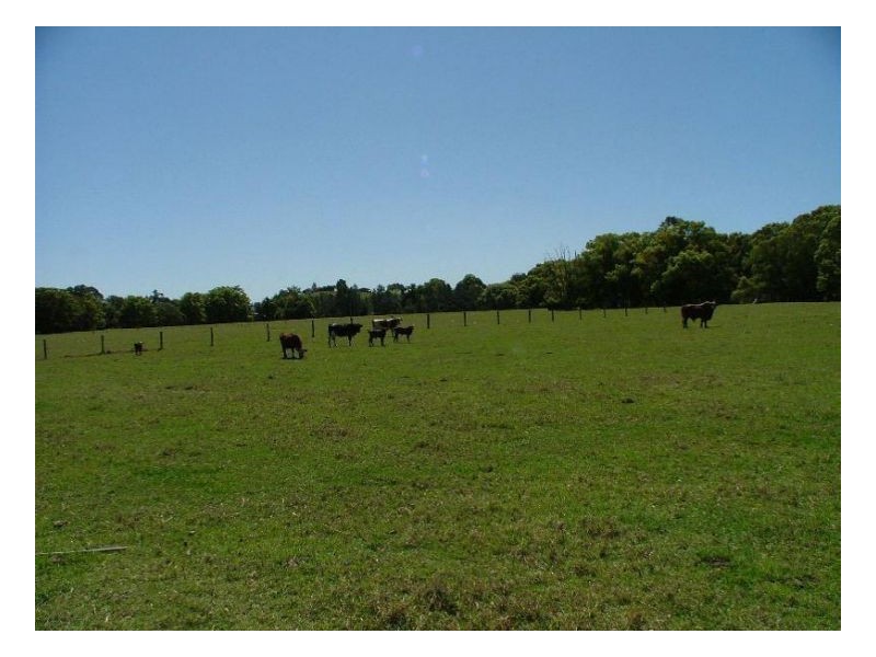 Dunbible NSW 2484