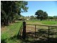Dunbible NSW 2484