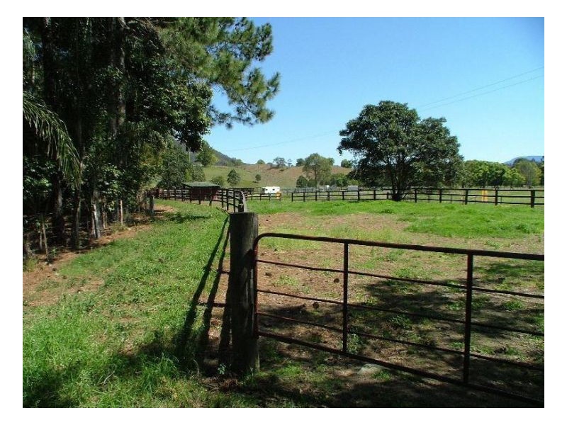 Dunbible NSW 2484
