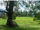 Tyalgum NSW 2484