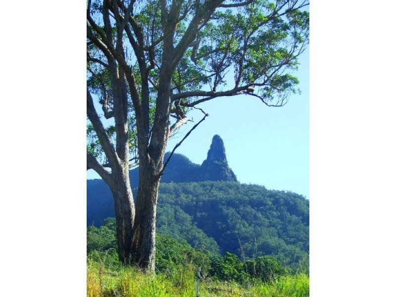 Tyalgum NSW 2484