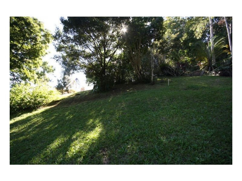 Murwillumbah NSW 2484