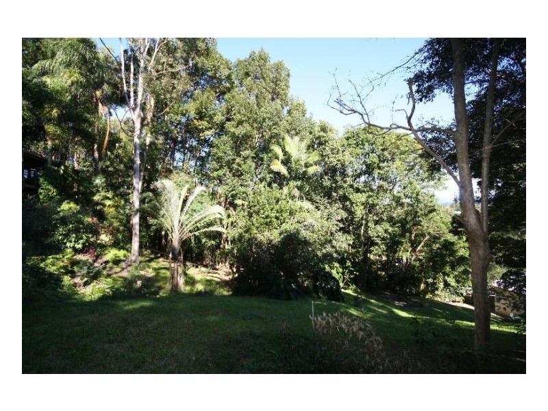 Murwillumbah NSW 2484