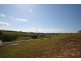 Murwillumbah NSW 2484