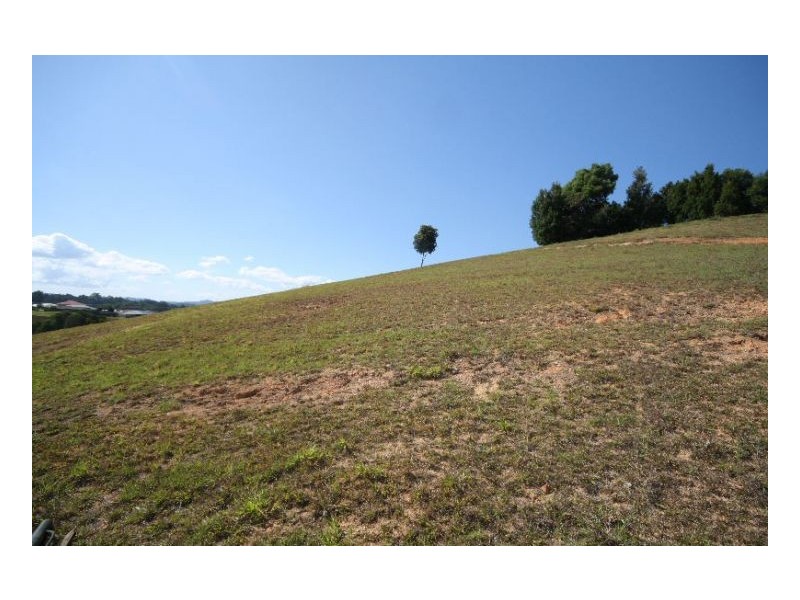 Murwillumbah NSW 2484