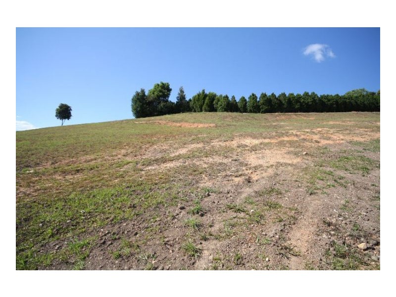 Murwillumbah NSW 2484