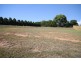Murwillumbah NSW 2484