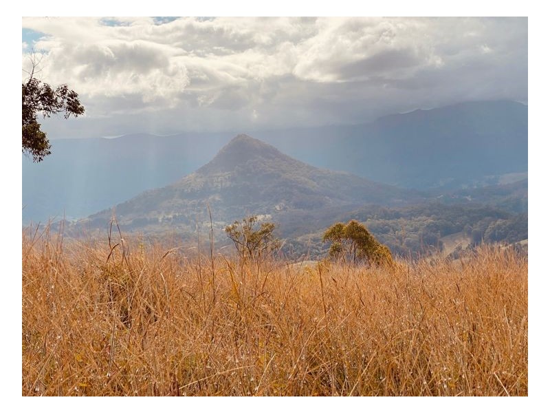 Eungella NSW 2484
