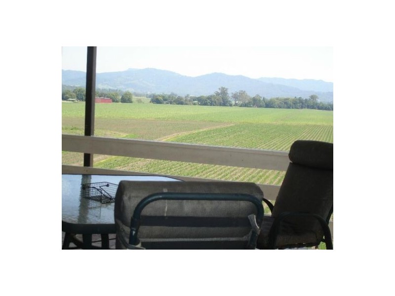 Murwillumbah NSW 2484