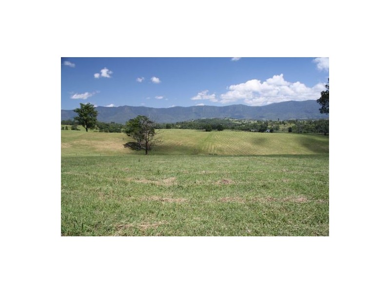 Murwillumbah NSW 2484