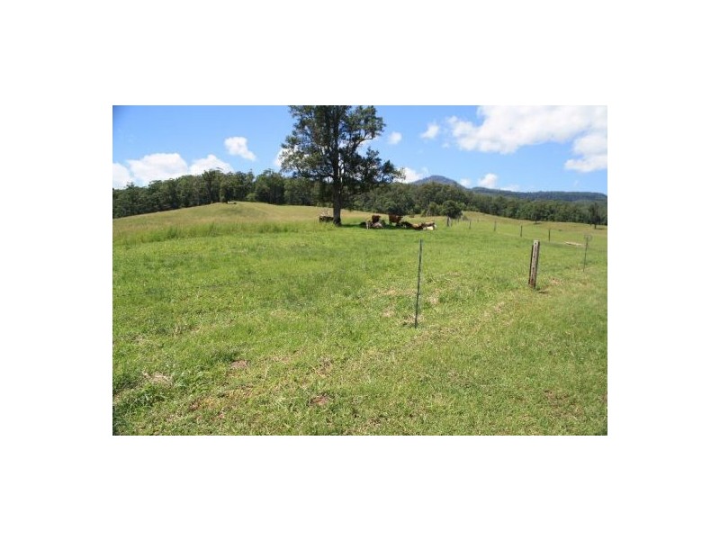 Murwillumbah NSW 2484