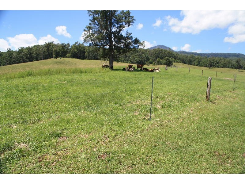 Murwillumbah NSW 2484