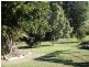 Murwillumbah NSW 2484