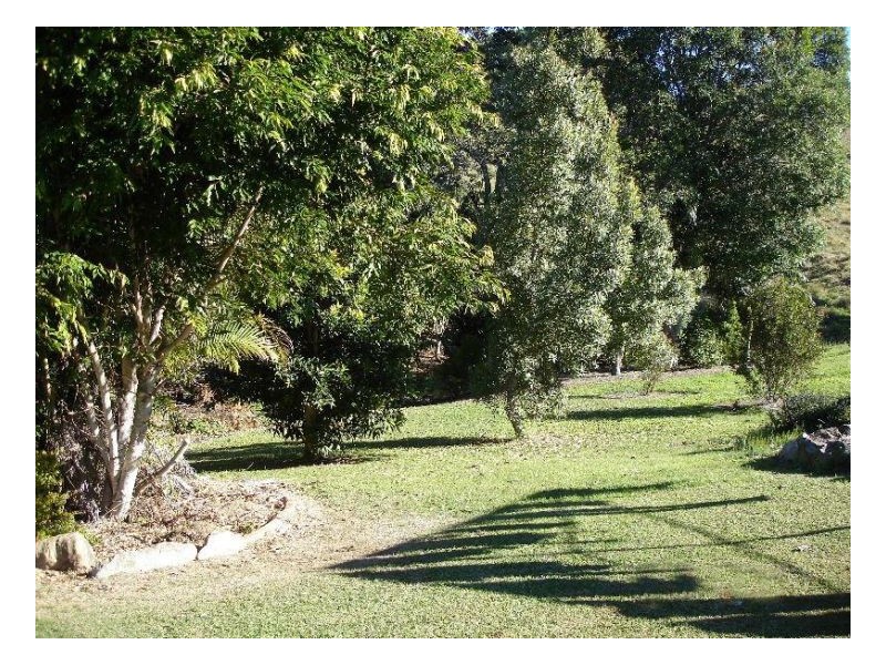 Murwillumbah NSW 2484