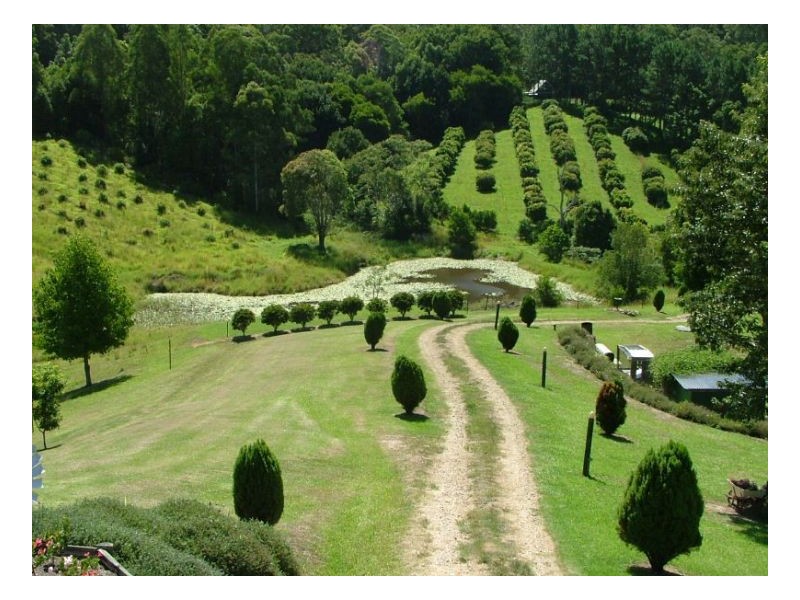 Stokers Siding NSW 2484