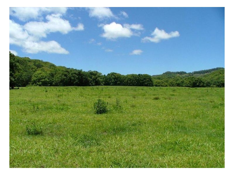 Upper Burringbar NSW 2483