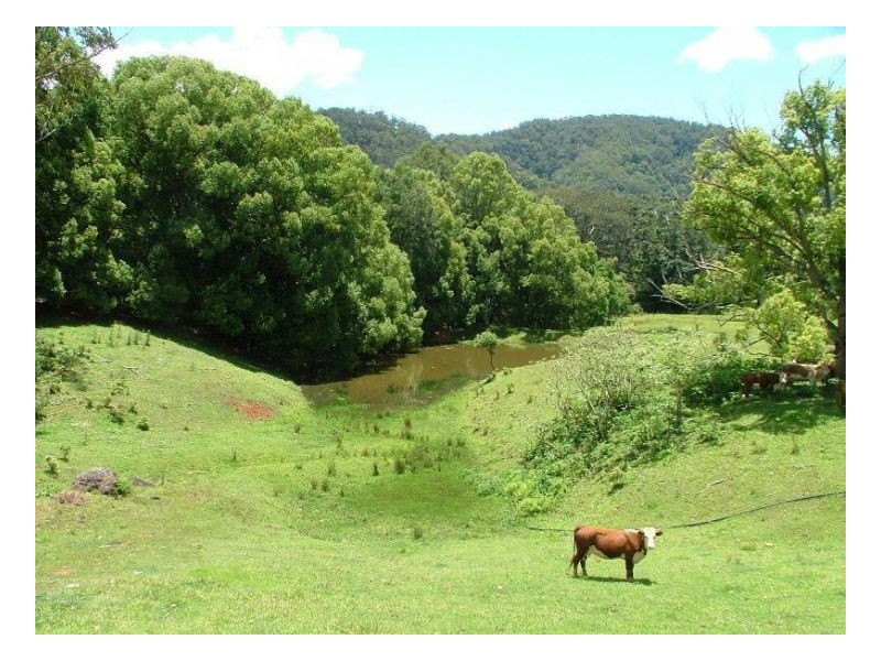 Upper Burringbar NSW 2483