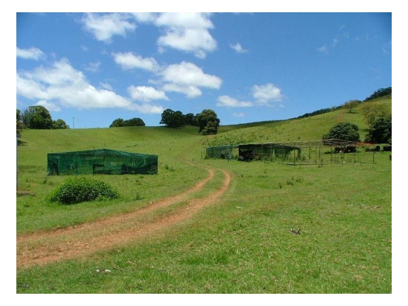 Upper Burringbar NSW 2483